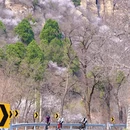 北京旅游 缩略图 7