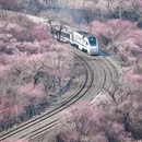 北京旅游 缩略图 2