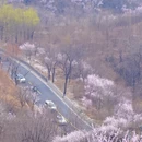 北京旅游 缩略图 5