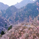 北京旅游 缩略图 6