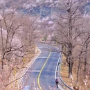 北京旅游 缩略图 4