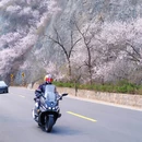 北京旅游 缩略图 8