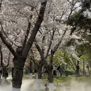 北京旅游 缩略图 2