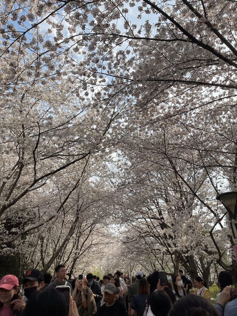 北京旅游