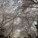 北京旅游 缩略图 1