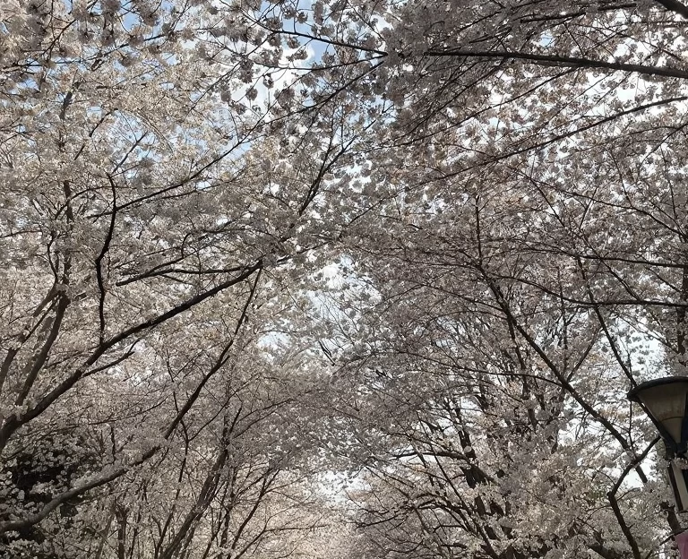 北京旅游 1