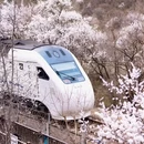 北京旅游 缩略图 1
