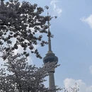 北京旅游 缩略图 3