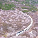 北京旅游 缩略图 3