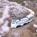 北京旅游 缩略图 2