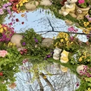 北京旅游 缩略图 1