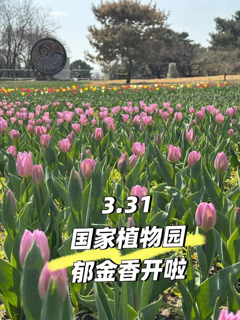 北京旅游