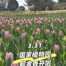 北京旅游 缩略图 1