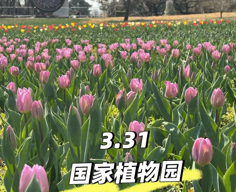 北京旅游 1