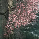 北京旅游 缩略图 5