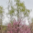 北京旅游 缩略图 4