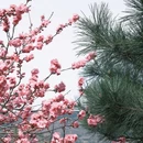 北京旅游 缩略图 7