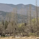 北京旅游 缩略图 6