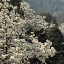 北京旅游 缩略图 2