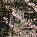 北京旅游 缩略图 3