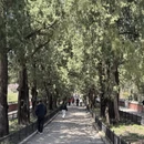 北京旅游 缩略图 8