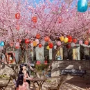 北京旅游 缩略图 11