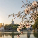 北京旅游 缩略图 6