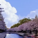 北京旅游 缩略图 10