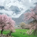 林芝旅游 缩略图 1
