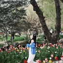 南京旅游 缩略图 1