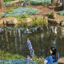 南京旅游 缩略图 4