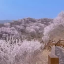 北京旅游 缩略图 3