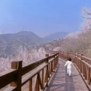 北京旅游 缩略图 6