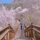 北京旅游 缩略图 5