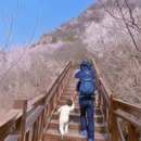 北京旅游 缩略图 2