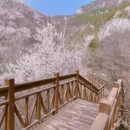 北京旅游 缩略图 8
