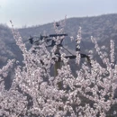 北京旅游 缩略图 7
