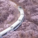 北京旅游 缩略图 4