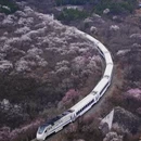 北京旅游 缩略图 1