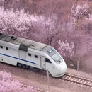 北京旅游 缩略图 3
