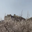北京旅游 缩略图 3