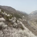 北京旅游 缩略图 7