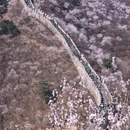 北京旅游 缩略图 2