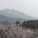 北京旅游 缩略图 5