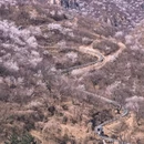 北京旅游 缩略图 8