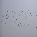 北京旅游 缩略图 5
