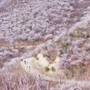 北京旅游 缩略图 1