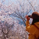 北京旅游 缩略图 5