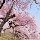 北京旅游 缩略图 1