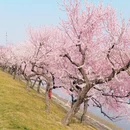北京旅游 缩略图 7